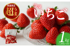 No.140 ☆お母さん応援☆ レシピ付き 大容量 冷凍いちご 1kg 冷凍 いちご ／ イチゴ 苺 フローズン フルーツ 果物 デザート おやつ 埼玉県