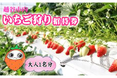 No.149 越谷市内いちご狩り招待券（大人1名分） ／ チケット イチゴ 苺 フルーツ 観光 送料無料 埼玉県