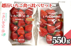 No.151 越谷いちご食べ比べセット　550g ／ イチゴ 苺 果物 フルーツ 埼玉県 特産品