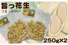 No.178 旨っ花生　500g ／ 落花生 豆 おつまみ おおまさり 大粒 埼玉県