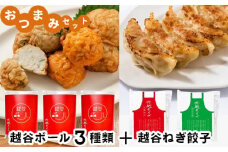 No.246 おつまみセット（越谷ボール3種類、越谷ねぎ餃子20個） ／ 惣菜 おかず ツマミ さつま揚げ ぎょうざ ギョウザ 越谷ネギ たまねぎ にんじん 埼玉県