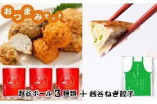 No.246 おつまみセット（越谷ボール3種類、越谷ねぎ餃子20個） ／ 惣菜 おかず おつまみ ツマミ さつま揚げ 冷凍 手軽 時短 おいしい たこ焼き風 越谷ねぎ たまねぎ にんじん ぎょうざ ギョウザ ジューシー 中華 中華惣菜 セット 食べ比べ 埼玉県