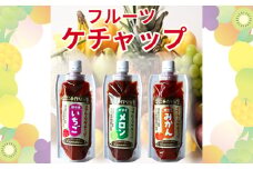 No.247 【フルーツケチャップ】苺、メロン、みかんの3種類セットレシピ付き ／ 自家製ケチャップ いちごケチャップ メロンケチャップ みかんケチャップ 埼玉県