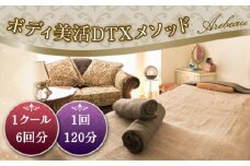 No.254 ボディ美活DTXメソッド　1クール　6回分（1回120分） ／ チケット 伝統医療 慢性疲労 体調改善 オールハンド 肥満予防 痩せ エイジングケア 埼玉県