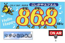 No.272 お祝い＆ありがとうメッセージをラジオでプレゼント【ラジオ出演体験】30分 ／ こしがやエフエム サプライズ演出 プロポーズ 還暦祝い お誕生日 母の日 父の日 埼玉県