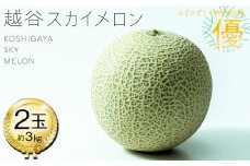 No.308 越谷スカイメロン　優2玉 ／ メロン みずみずしい 爽やかな味 美味 人気2玉 3kg 贈答品 贈り物 ギフト プレゼント フルーツ 果物 くだもの 埼玉県