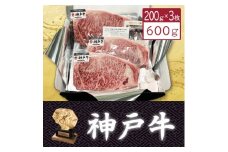 ＜神戸牛＞サーロインステーキ200g×3枚【1359931】