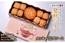 グルテンフリー発酵バタークッキー缶＜アソート＞【1501497】