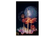 ＜8月3日開催＞第71回戸田橋花火大会観覧席　西Bブロック　エリア内自由席ペアセット【1519113】