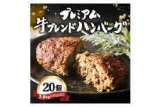 ＜レンジ対応＞プレミアム牛ブレンドハンバーグ20個セット【1623084】