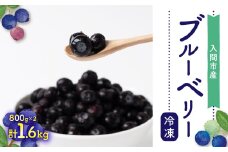 ブルーベリー冷凍　1.6kg【1298918】