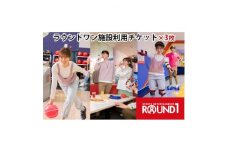 ＜入間店　限定＞ラウンドワン施設利用チケット(3枚)【1375901】