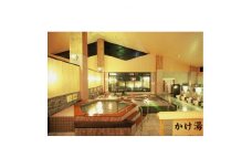 アクアリゾートいるまの湯　大人入浴招待券　10枚【1355541】