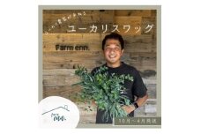 ＜ユーカリ農家が束ねる＞摘みたてユーカリスワッグ【1542236】