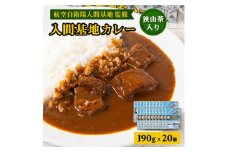 大きな牛肉入り!入間基地カレー20食セット 航空自衛隊入間基地監修(レトルトカレー)【1571928】