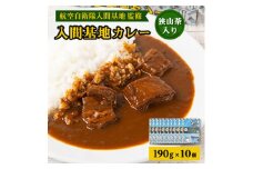 大きな牛肉入り!入間基地カレー10食セット 航空自衛隊入間基地監修(レトルトカレー)【1571926】