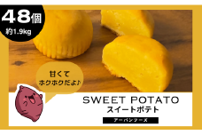 ＜訳あり＞しっとりスイートポテトの幸せひととき　48個入・約1.9kg【1591554】