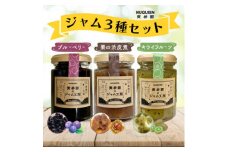 貫井園のジャム3種セット[ブルーベリー/栗の渋皮煮/キウイフルーツ]各110g入り【1588618】