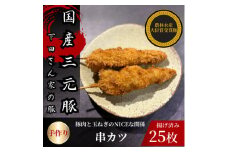 串カツ　豚肉と玉ねぎのNICEな関係!　計25本　揚げ済み　冷凍　国産豚　小分け【1614256】