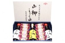 創業慶応元年「山柳しょうゆ」醤油ゼリーセット