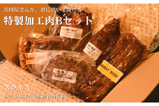 （埼玉県産の武州和牛肉使用）お肉屋さんが君に焼いて揚げる特製加工肉Bセット