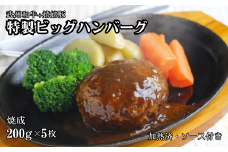 特製ビッグハンバーグ（武州和牛+嬉嬉豚）焼成200ｇ×5枚（加熱済・ソース付き）