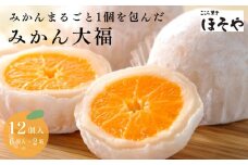 まるごとみかん大福（6個入り2セット）