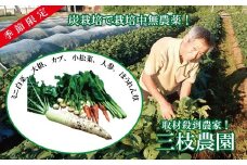 【数量限定】有機堆肥と炭栽培の三枝農園「秋・冬野菜の詰め合わせ」