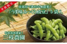 【夏期限定】有機堆肥と炭栽培の三枝農園「うま味ふっくら枝豆」5袋入