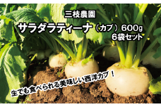 【季節限定】三枝農園「サラダラティーナ（カブ）600g」6袋セット