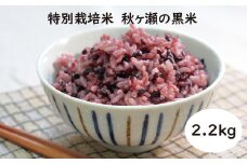 【数量限定】特別栽培米10%増量中！秋ヶ瀬の黒米2.2kg（1.1kg×2袋）