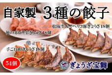3種のぎょうざ食べ比べセット（54個）