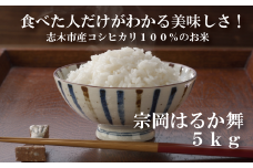 志木市産コシヒカリ100％「宗岡はるか舞」5kg