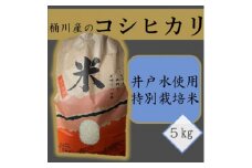 桶川産のコシヒカリ(井戸水使用・特別栽培米)5kg 精米【1352042】