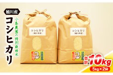 小島農園の特別栽培米　桶川産コシヒカリ　5kg×2袋【1357476】