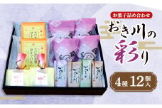 おき川の彩り(12個入り)【1439291】