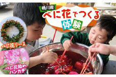桶川産べに花でつくる体験、「べに花染め」「べに花リース」【1452588】