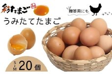 彩たまご うみたてたまご20個入り 化粧箱 60サイズ ｜ 養鶏場直送 新鮮 卵 たまご タマゴ 玉子 生卵 鶏卵 彩 国産 産みたて 久喜市 埼玉県 箱入り