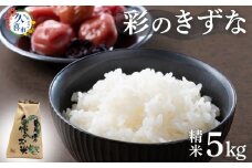 【寄附から2週間以内発送】令和6年産  米 精米 白米 埼玉県産 ブランド米 彩のきずな 5kg | 埼玉県 久喜市 米 コメ お米 特産 精米 白米 ごはん 美味しい おいしい 高品質 健康 安心 減農薬 減農薬栽培 地元産 ブランド米 ブランド 彩 きずな コシヒカリ もっちり 食感 甘み 旨み うまみ 主食 和食 暑さに強い 病気に強い 害虫に強い