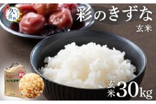 【寄附から2週間以内発送】令和6年産 玄米 埼玉県産 ブランド米 彩のきずな 30kg | 埼玉県 久喜市 米 コメ お米 おこめ 特産 ごはん 美味しい おいしい 高品質 健康 安心 減農薬 減農薬栽培 地元産 ブランド 彩 きずな コシヒカリ もっちり 食感 甘み 旨み うまみ 主食 和食 暑さに強い 病気に強い 害虫に強い