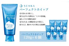 センカ パーフェクトホイップ 120g 6個 【 ファイントゥデイ SENKA 美容  消耗品 久喜市 埼玉県 センカ パーフェクトホイップ メイク落とし 洗顔料 泡洗顔 毛穴ケア しっとり つるつる肌 メイクリムーバー 敏感肌対応 保湿 ノンコメドジェニック 引き締め効果 スキンケア フォームクレンジング 肌の透明感 メイク残りなし クレンジングホイップ 毛穴の詰まり】