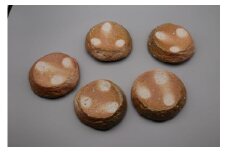 厚盛皿5客セット 明石大（あかし ひろき）作【埼玉県 久喜市 特産 陶芸 陶器 焼き物】