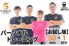 パーソナルトレーニング1回分【お試し版】プロが導く身体づくり（トレーニング：1回×50分、食事提案、指導）【ジム パーソナル トレーニング 手ぶら お客様専属 トレーナー チケット パーソナルトレーナー フィットネス プログラム コーチング カスタム ボディメイク 体力向上 ダイエット プライベート 筋トレ 埼玉県 久喜市】