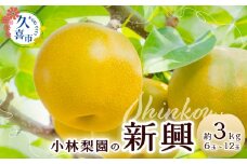 【先行予約 数量限定】梨 新興 約3kg 6玉～12玉｜ 梨 フルーツ 高級 産地直送 限定品 贈り物 新鮮 お取り寄せ デザート ギフト 風味豊か 大玉 香り 上品  地域 甘い 限定 果物 果樹 梨 なし 果物 フルーツ 埼玉県 久喜市 菖蒲 和梨