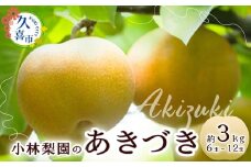 【先行予約 数量限定】梨 あきづき 約3kg 6玉～12玉｜埼玉県 久喜市 菖蒲 小林梨園 あきづき 秋月 梨 フルーツ 高級 産地直送 限定品 贈り物 新鮮 お取り寄せ デザート ギフト 風味豊か 香り 上品 希少価値 珍しい 地域 甘い 限定 果物 果樹 彩玉 梨 なし 果物 埼玉県 久喜市