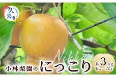 【先行予約 数量限定】梨 にっこり 約3kg 6玉～12玉｜梨 フルーツ 甘み みずみずしい 産地直送 限定品 贈り物 新鮮 お取り寄せ デザート ギフト 風味豊か 赤梨 大玉 香り 上品 地域 甘い 限定 果物 果樹 梨 なし 果物 フルーツ 埼玉県 久喜市