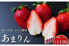【第3回全国いちご選手権 入賞】あまりん 280g×4パック 2026年 先行予約 | いちご イチゴ 苺 ストロベリー ベリー 季節限定 高評価 果物 くだもの フルーツ 野菜 美味しい おいしい 甘み ほのかな酸味 デザート スイーツ ギフト 贈り物 ビタミン 健康 埼玉県 久喜市
