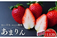 【第3回全国いちご選手権 入賞】あまりん 280g×4パック 2026年 先行予約 | いちご イチゴ 苺 ストロベリー ベリー 季節限定 高評価 果物 くだもの フルーツ 野菜 美味しい おいしい 甘み ほのかな酸味 デザート スイーツ ギフト 贈り物 ビタミン 健康 埼玉県 久喜市