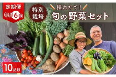 【10品目】【6カ月定期便】 特別栽培 たかしま農園 採れたて 旬の野菜セット 毎月発送  | 野菜 やさい 生野菜 おまかせ 詰め合わせ 無農薬 新鮮 季節 旬 食材 地元産 有機野菜 有機農業 農家 食育 健康 お取り寄せ 埼玉県 久喜市