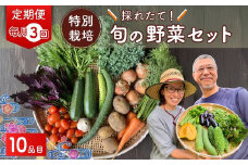【10品目】【3カ月定期便】 特別栽培 たかしま農園 採れたて 旬の野菜セット 毎月発送 | 野菜 やさい 生野菜 おまかせ 詰め合わせ 無農薬 新鮮 季節 旬 食材 地元産 有機野菜 有機農業 農家 食育 健康 お取り寄せ 埼玉県 久喜市
